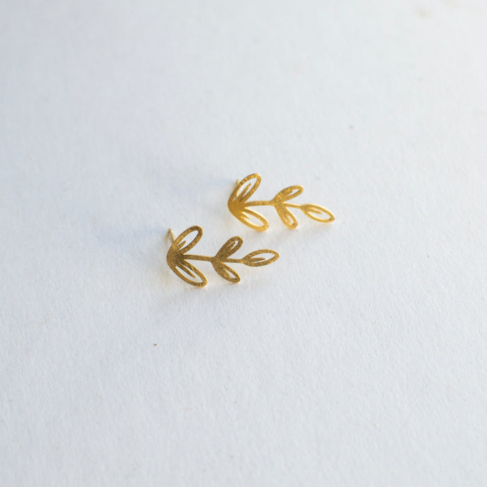 FLORA Botanicals Little Fern