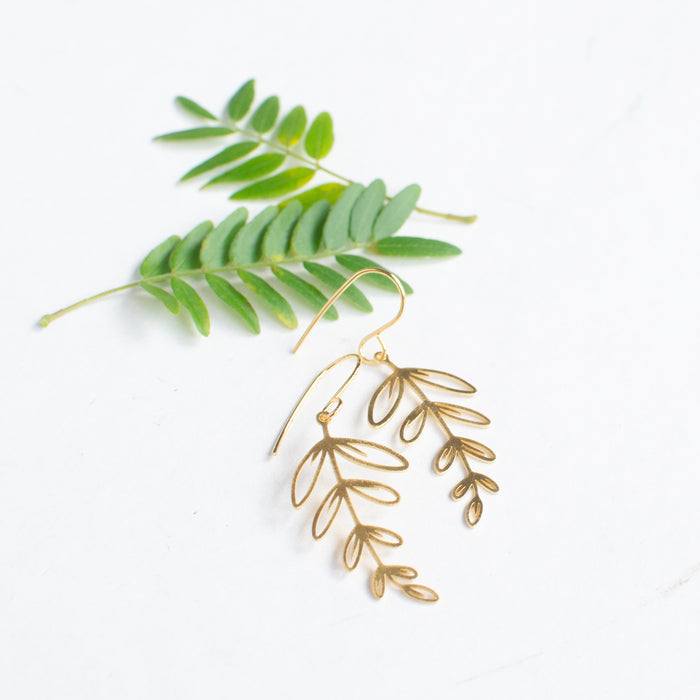 Botanicals - Fern