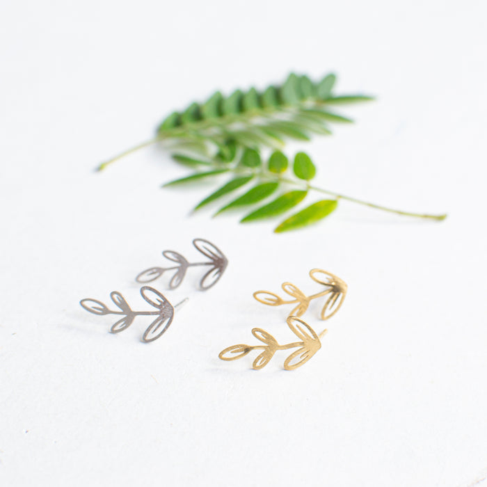 Botanicals Little Fern